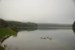еще немножко Шванштайна...