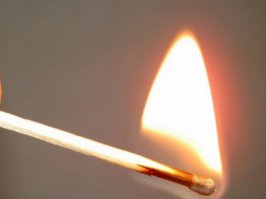 Вскрыли убежище Крыс