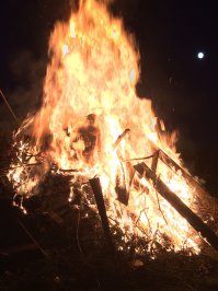 Фотоподборка за 13.10.2015