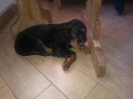 Два фото - первый день в новом доме, и это мы так играем.