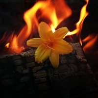 25 удивительных фотографий, на которых нет фотошопа