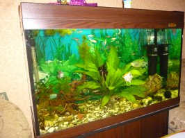 А вот наша баночка на 140 литров. Фунциклирует уже ровно год....