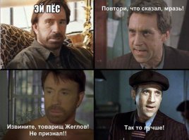 10 действительно правдивых фактов о Чаке Норрисе