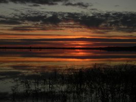 красиво....=) 
вот я на охоте фоткал =) тоже без ФШ (только размер уменьшил)