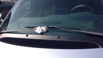 Что в этой фотке не так? Это надо в раздел полезных знаний (или лайфхаков, тьфу ты еле выговорил). Реально было со мной такое: на ходу в дождь улетел один дворник (хреновое крепление было), а ехать то надо. Без дворника будет царапать стекло. Стоять до окончания дождя? Намотал тряпку или рукавицу и поехал с одним дворником.