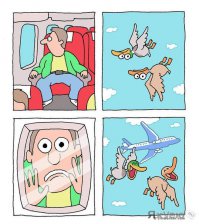 Очередная порция юмора и позитива