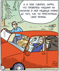 Нелегалы пытались попасть в Великобританию в одном грузовике с русским медведем