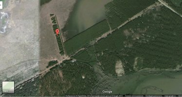 Вы не поверите, что эти 22 фотографии сделаны без фотошопа