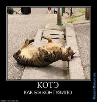 12 шокирующих существ, обнаруженных в человеческом теле