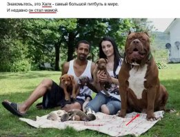 Прикольные картинки