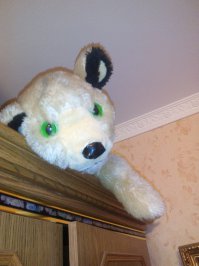 Так то оно так. Просто сегодня вещи перебирала, наткнулась на старую игрушку. Навеяло))))