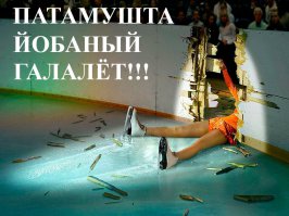 24 примера того, что в спорте возможно все