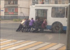 Очередная подборка автоприколов