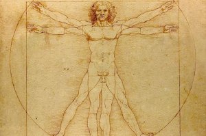 Вот самое опасное животное....