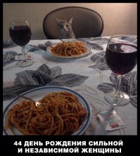 Эти фотографии гориллы Коко и её котят растрогают вас до слёз