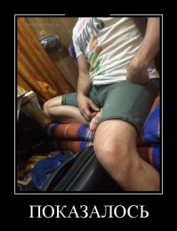 Удачный кадр