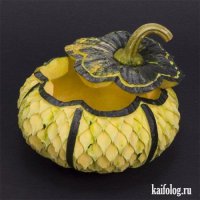 Фотоподборка за 16.10.2015