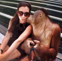 - А у тебя точно есть Мерседес и квартира на Арбате?!