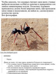 Смешные комментарии из социальных сетей 16.10.15