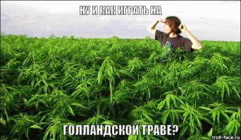 «Казань Арена» готовит поле боя: матч с «Ливерпулем» пройдет на голландской траве 