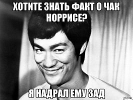 10 действительно правдивых фактов о Чаке Норрисе