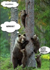 ты про чё?