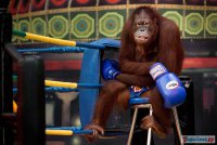 7 самых больших загадок тела человека