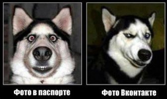 вот это действительно по жизни ..