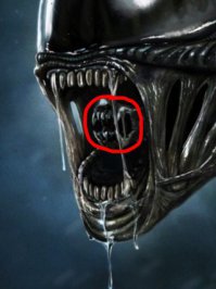 10 самых страшных чудовищ из океанских глубин