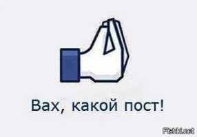 7 фактов, связанных с Библией