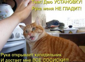 Как влиять на людей с помощью прикосновений