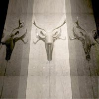 Душ-слезы Дарта Вейдера: подарок любителям «Звездных Войн»