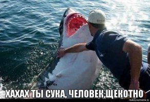 10 самых страшных чудовищ из океанских глубин