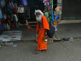 Успела побывать в Индии до подорожания валюты. Дешево и впечатлений море. Не понимаю, когда говорят, что Индия - это только грязь.