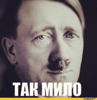 Эти фотографии гориллы Коко и её котят растрогают вас до слёз
