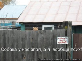Нападение кота на своего хозяина