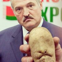 Знаменитости, у которых есть двойники другой расы