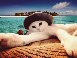 Это Лексюша, знакомьтесь=D Большой фанат Dragon Age, MTG и футбола, а так же просто милошевич=D