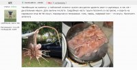 Самый правдоподобный косплей Хищника
