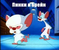 Подарок дочери оказался неудачным