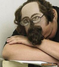 Сумасшедшие стрижки. Вот что получается, когда работает дилетант 