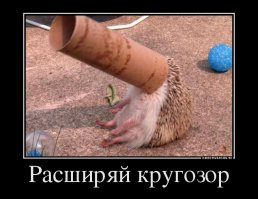 Скорее тоннельное зрение :).