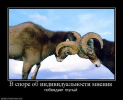 Оба хороши.