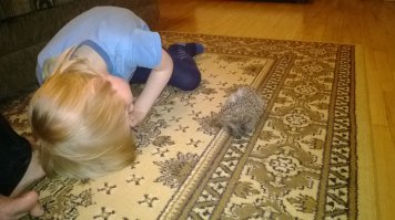 Фото из собственного альбома. Младший играется...