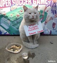 Фотоподборка за 19.10.2015