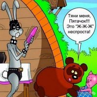 Гифки дня