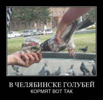 Блиин, да сколько можно?! Это Хабаровск!!!