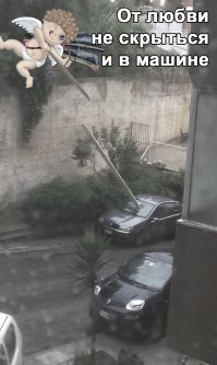 Очередная подборка автоприколов