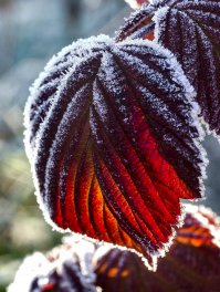 Красиво! Чуть подправил...