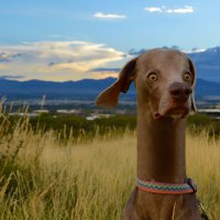 Ошибки фотошопа